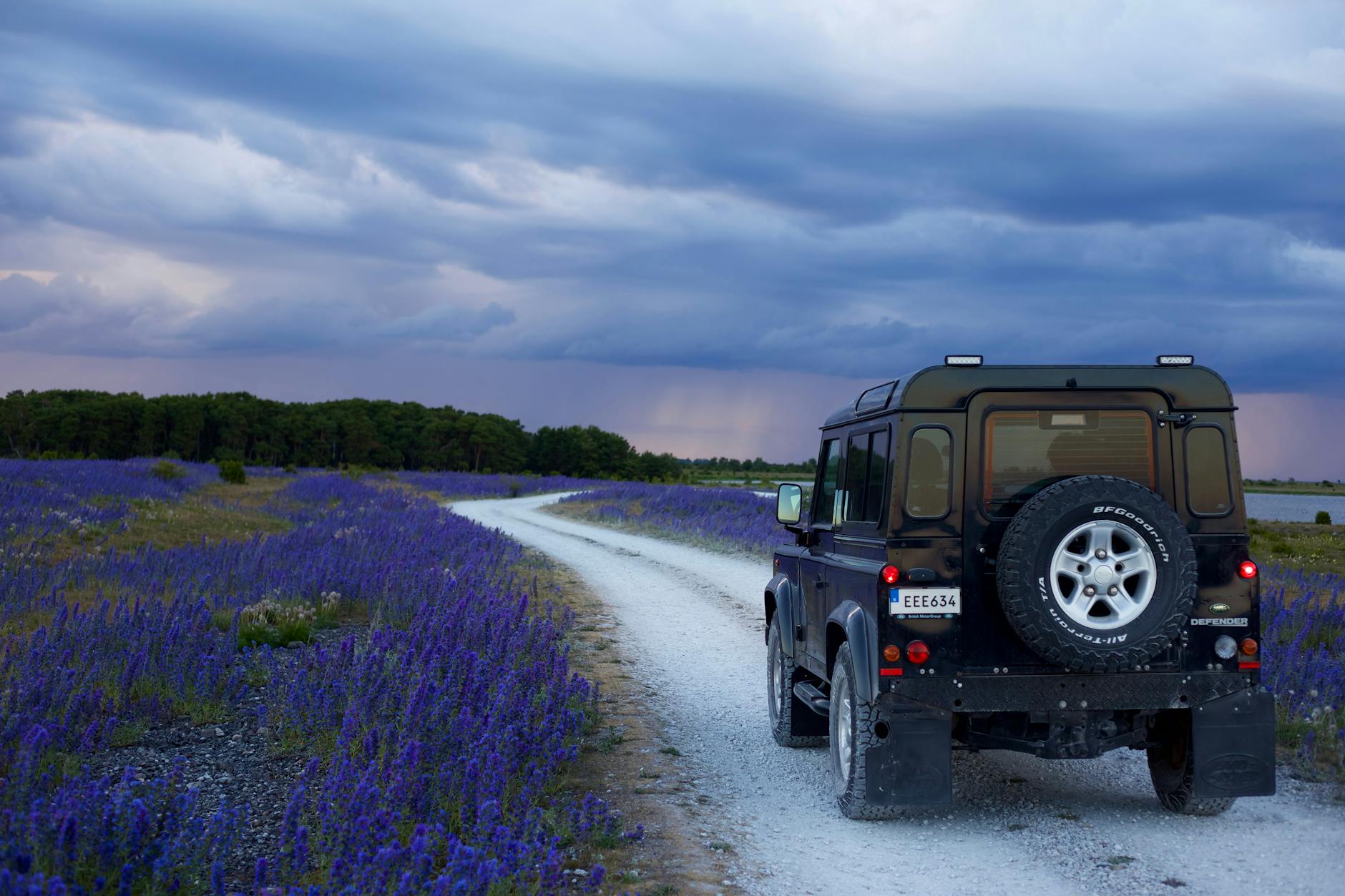 black suv in between purple flower fields